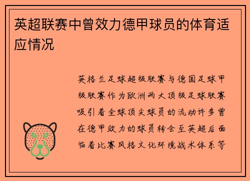 英超联赛中曾效力德甲球员的体育适应情况