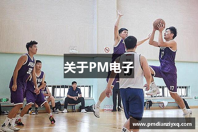 关于PM电子